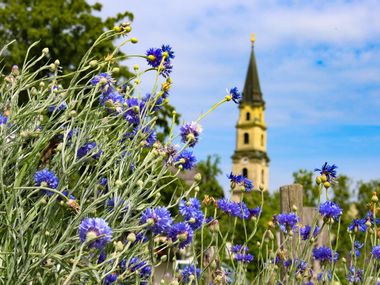 Blumen mit Kirche im Hintergrund