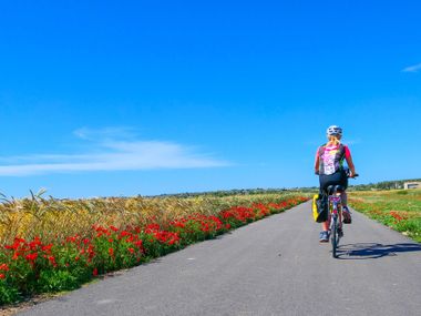 Cycling holidays Majorca Maria de Salud Cycle Path