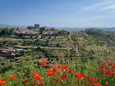 View of Bragança