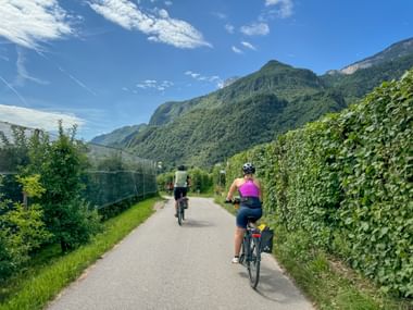 Cyclists on the Adige Cycle Path to Nals