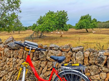 Explore Mallorca by bike
