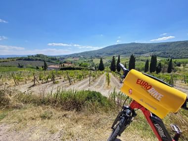 Blick auf die Weinberge