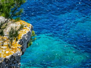 Rocky coastal cliff in Croatia with yellow lichen and green pine branches overlooking crystal-clear turquoise Adriatic Sea water.