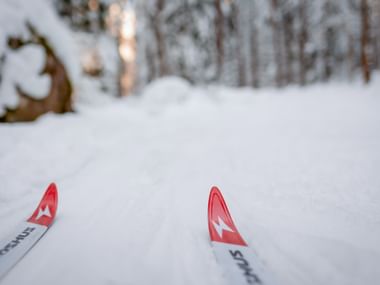 Rot-weiße Langlaufski-Spitzen auf einer verschneiten Loipe in einem Winterwald mit kahlen Bäumen im Hintergrund.