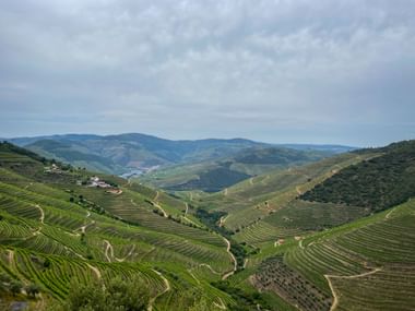 Panoramic view of terraced vineyards in the Douro Valley with rolling hills, winding paths, and scattered buildings under a cloudy sky.