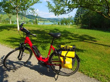 Eurobike electric bike