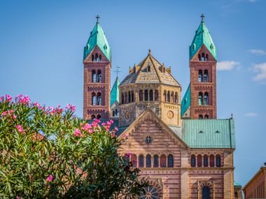 Speyerer Dom mit roter Sandsteinfassade, Doppeltürmen mit grünen Kupferdächern und rosa blühendem Strauch im Vordergrund unter blauem Himmel.
