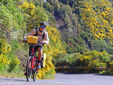 Cyclist on mountain road with yellow plants