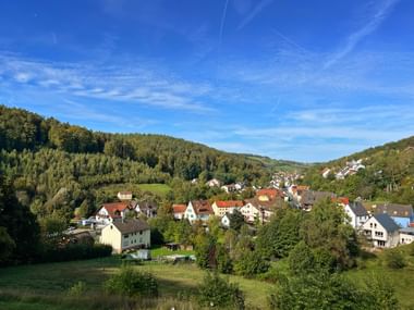 Ausblick auf Mespelbrunn