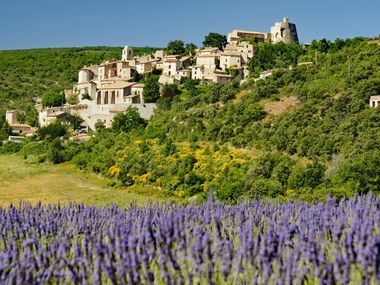 Lavender field in front of a village in Provence