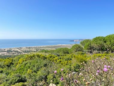 Panoramablick auf die Küste bei Famalicão mit rosa Wildblumen, grüner Vegetation, Sandstrand und blauem Meer unter klarem Himmel.