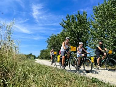 Family of five cycling on gravel path with yellow panniers near Udine on Alpe Adria route, surrounded by green trees under blue sky.