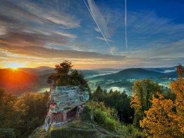 Alte Drachenfels Felsformation mit Baum bei Sonnenaufgang, Blick über neblige Pfälzerwald-Täler mit bewaldeten Hügeln und Dörfern.