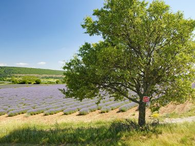 bike tours provence france