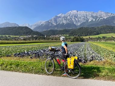 Cyclist with touring bike and yellow panniers on path through flowering fields. Snow-capped mountain range and village visible in background.