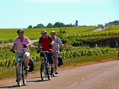 Radfahrer in Weingärten