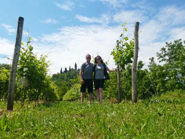 Cyclists in the vineyard on the way from Bassano to Treviso