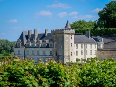 Château de Villandry with round tower and Renaissance architecture, viewed across green vineyard rows under blue sky with scattered clouds.