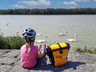 Girl on the riverbank watching swans