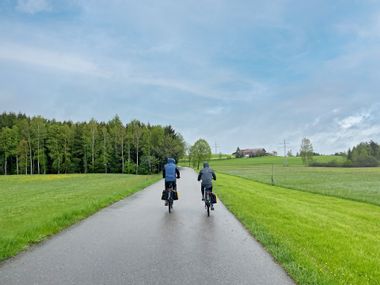 Cyclist on cycle path through meadows