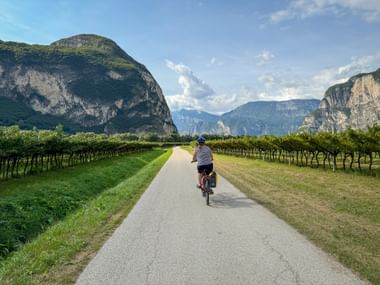 Cyclist on the Adige cycle path in Salurn