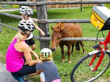 Radfahrerin und Kinder mit Pony