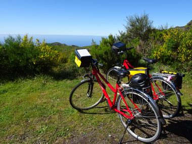 Bicycles on a meadow with a view of the sea in Madeira