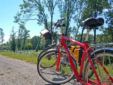 Eurobike rental bikes