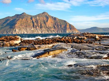 Duiker Island