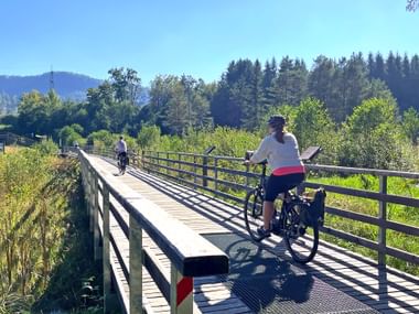 Radfahrer überqueren eine Holzbrücke mit Metallgeländer durch Moorgebiet bei Keutschach, Kärnten. Grüne Vegetation und Wald im Hintergrund.