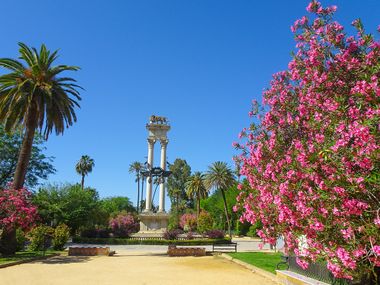Sevilla Blumen