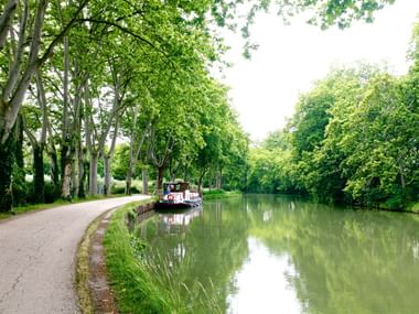 Ein Boot auf dem ruhigen Canal du Midi in Südfrankreich, gesäumt von einem von Bäumen gesäumten Weg und üppiger grüner Vegetation.