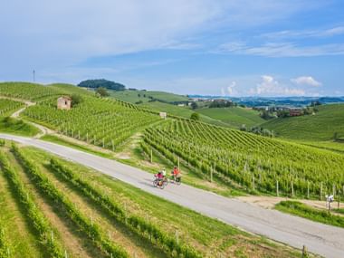 Two cyclists riding through rolling vineyard hills in Langhe, Piedmont. Green vine rows cover the landscape with a small stone building and blue sky.