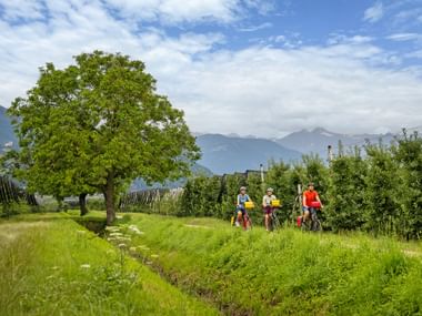 Radfahrer am Etsch-Radweg