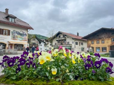Yellow and purple pansies in foreground with traditional Bavarian painted houses in Mittenwald village square under cloudy sky.