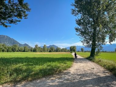 Einzelner Radfahrer auf Schotterweg durch grüne Felder bei Osoppo. Berge in der Ferne unter blauem Himmel mit vereinzelten Bäumen entlang der Strecke.