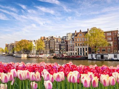 Blick auf Amsterdam mit Tulpen