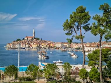 Küstenblick auf Rovinj, Istrien mit bunter Altstadt, Kirchturm und Booten im Hafen. Pinien rahmen die Szene im Vordergrund ein.