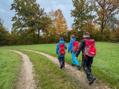 Three children with colorful backpacks walking on a dirt path through a green meadow, surrounded by trees with autumn foliage.