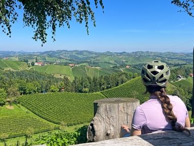 Southern Styria Gamlitz panoramic view