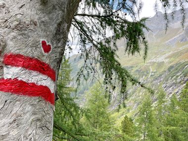 Signpost while hiking