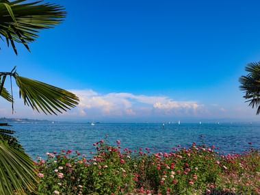 Bodensee Impressionen