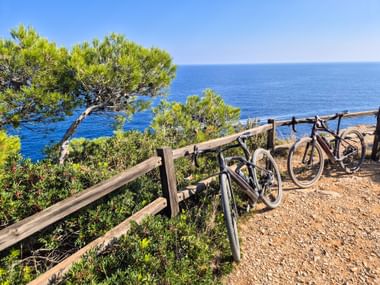 Zwei Fahrräder lehnen an einem Holzzaun an einem Küstenaussichtspunkt in Katalonien, mit Pinien und blauem Mittelmeer im Hintergrund.