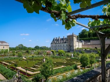 Schloss Villandry im Loiretal mit geometrischen Ziergärten, gesehen durch eine Weinrebenpergola unter blauem Himmel.
