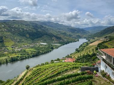 Panoramic view of the Douro Valley near Mesao Frio Panoramic view of the Douro Valley near Mesao Frio