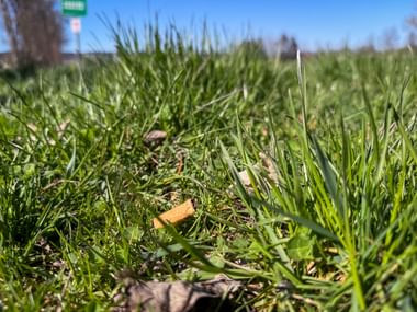 Weggeworfene Zigarettenkippen schaden unserer Umwelt