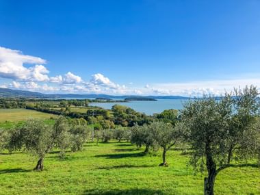 View of Lake Trasimeno