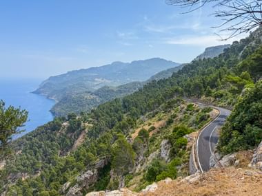 Kurvenreiche Küstenstraße durch das Tramuntana-Gebirge auf Mallorca mit blauem Mittelmeer und grün bewaldeten Hängen unter klarem Himmel.