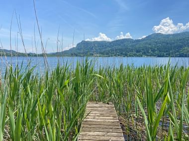 Blick über den Keutschacher See Blick über den Keutschacher See