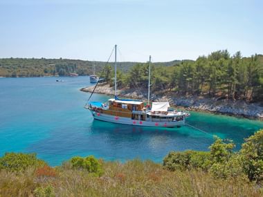MS Mirabela